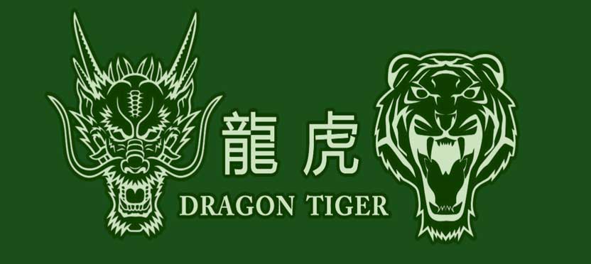 Dragon Tiger Card Game